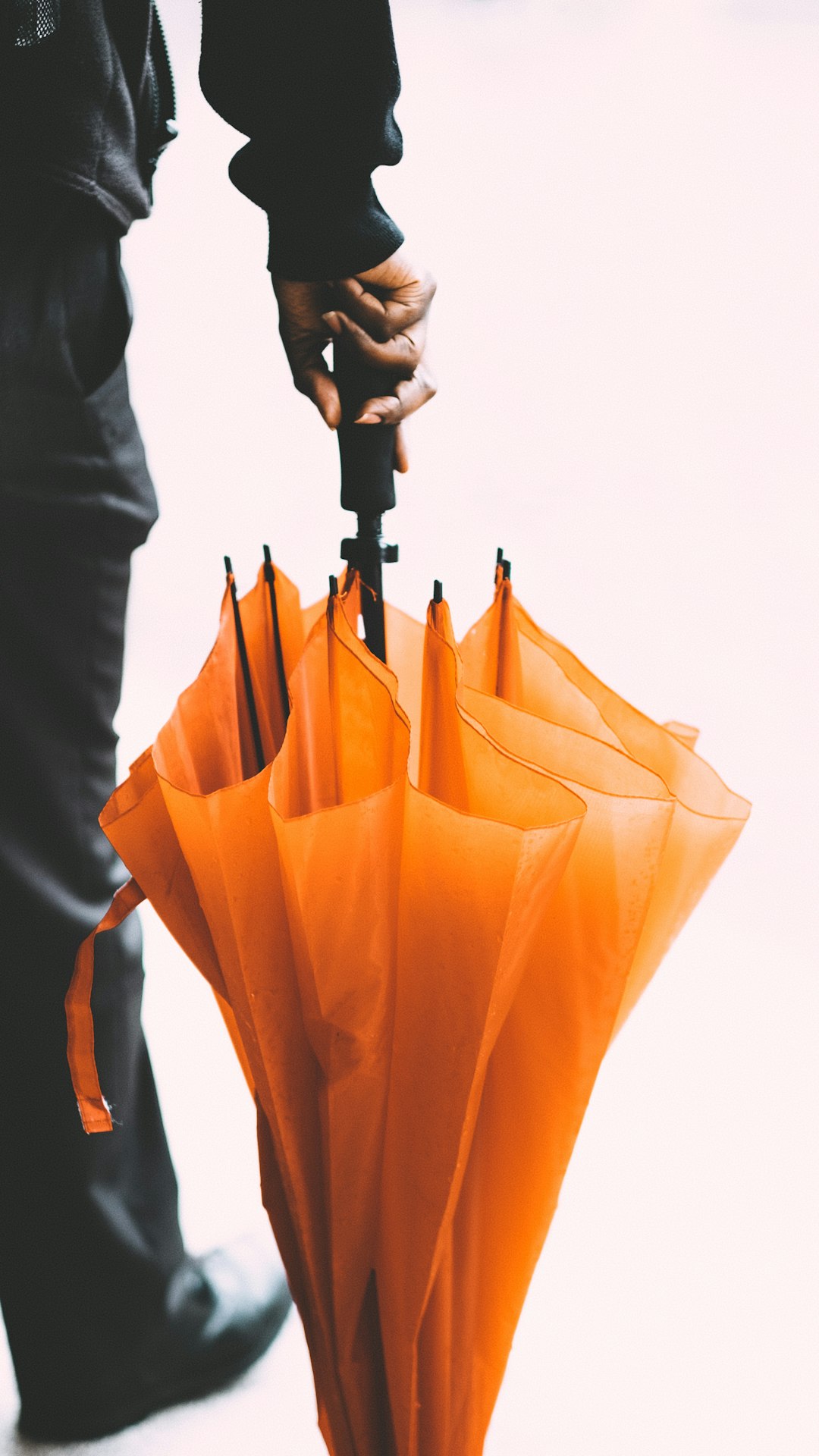 Crafting Captivating Headlines: Your awesome post title goes here Red Brolley